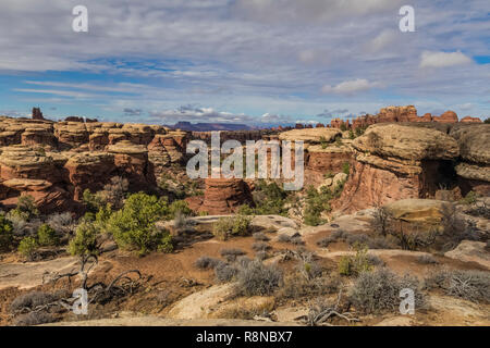 Spettacolari paesaggi di pietra arenaria di slickrock e guglie lungo la Chesler Park Loop Trail nel distretto di aghi del Parco Nazionale di Canyonlands, Utah, oc Foto Stock