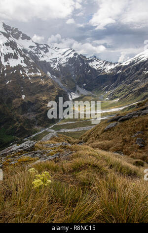 Vista dalla cresta francese, Mt Aspiring National Park, Nuova Zelanda Foto Stock