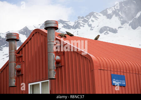 Il francese Ridge Hut, Mt Aspiring National Park, Nuova Zelanda Foto Stock