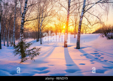 Colorato tramonto in inverno Foto Stock