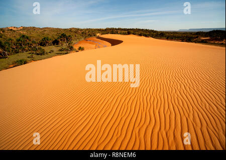 Le famose dune rosse a Jalapão National Park, stato di Tocantins. Questa è la più fotografata attrazione nel parco, area selvaggia in Brasile Foto Stock