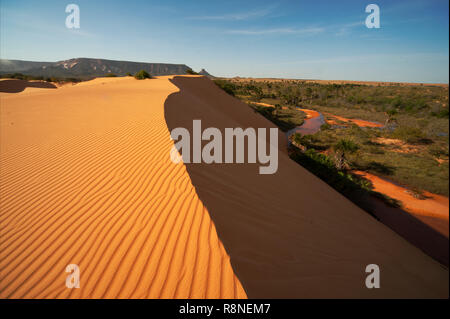 Le famose dune rosse a Jalapão National Park, stato di Tocantins. Questa è la più fotografata attrazione nel parco, area selvaggia in Brasile Foto Stock