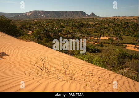 Le famose dune rosse a Jalapão National Park, stato di Tocantins. Questa è la più fotografata attrazione nel parco, area selvaggia in Brasile Foto Stock