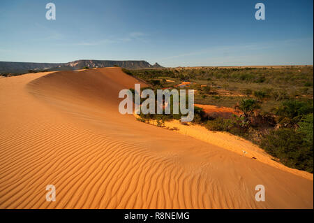 Le famose dune rosse a Jalapão National Park, stato di Tocantins. Questa è la più fotografata attrazione nel parco, area selvaggia in Brasile Foto Stock