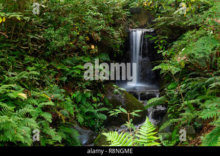 Bella scena con cascata di mistico e di foresta tropicale, Giappone Foto Stock