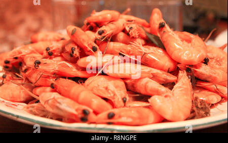 Un gamberetti lessati sfondo pronto per mangiare Foto Stock