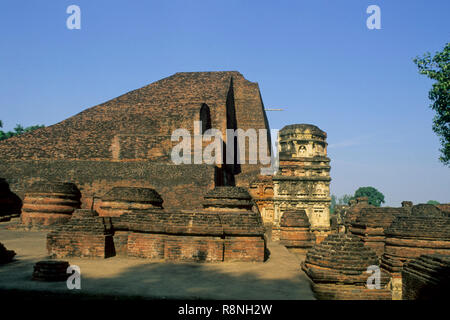 Grande tempio principale, torre angolare e stupa votivi, sito no. 3, nalanda complesso universitario, Bihar, in India Foto Stock