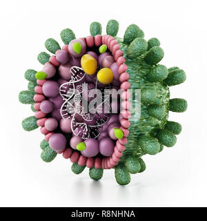 Dettaglio strutturale del virus di epatite B isolati su sfondo bianco. 3D'illustrazione. Foto Stock