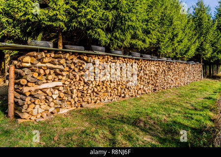 Pali di legno con un tetto di lamina e pneumatici sulla parte superiore in un prato di erba verde e lussureggiante di alberi in una splendida giornata invernale in delle Ardenne belghe Foto Stock