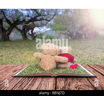 Libro Aperto immagine di due orsacchiotto marrone colore seduta su erba sotto la struttura ad albero con sun ray Foto Stock