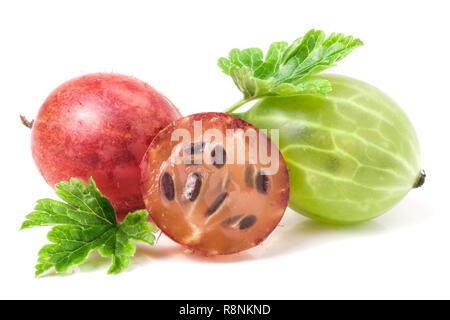 Il rosso e il verde uva spina con foglie su sfondo bianco Foto Stock