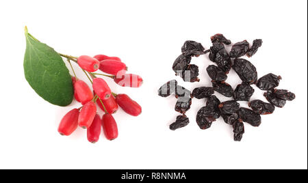 Secca e fresca crespino con foglie isolati su sfondo bianco. vista superiore Foto Stock