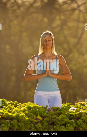 Donna attraente le pratiche yoga a Makena, Maui, Hawaii. Foto Stock