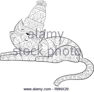 Un Simpatico Gatto Indossando Un Cappello Di Natale In Una