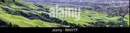 Vista aerea di verdi colline alla base della missione picco nella parte sud di San Francisco Bay Area, una zona popolare per escursionismo, zone residenziali di Fremont in Foto Stock