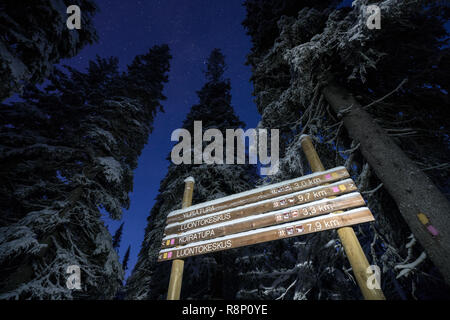 Escursionismo in Syöte national park, Pudasjärvi, Lapponia, Finlandia, Europa Foto Stock