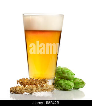 Bicchiere di birra schiumosa con coni di luppolo e il frumento isolati su sfondo bianco Foto Stock