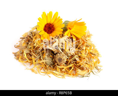 Freschi e Secchi fiori di calendula isolati su sfondo bianco. Tagete Foto Stock