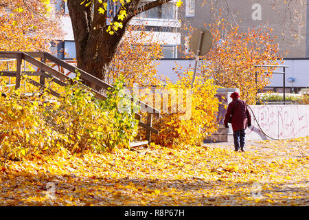 Old Lady camminando attraverso la caduta foglie, autunno, Kallio, Helsinki, Finlandia Foto Stock