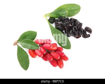 Secca e fresca crespino con foglie isolati su sfondo bianco. vista superiore Foto Stock