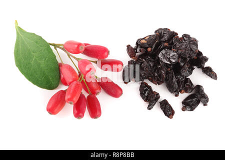 Secca e fresca crespino con foglie isolati su sfondo bianco. vista superiore Foto Stock