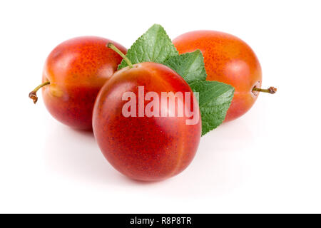 Prugne rosse con foglie isolati su sfondo bianco Foto Stock