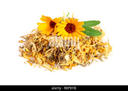 Freschi e Secchi fiori di calendula isolati su sfondo bianco. Tagete Foto Stock