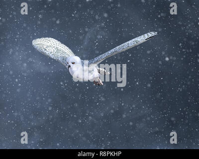 3D rendering di un flying snow owl circondato da meteo innevati in inverno. Foto Stock