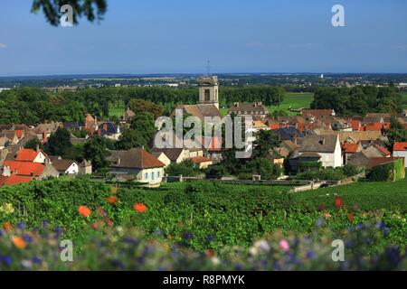 Francia, Cote d'Or, Pommard, strada dei Grand Cru di Borgogna, i climi dei vigneti della Borgogna elencati come patrimonio mondiale dall' UNESCO Foto Stock