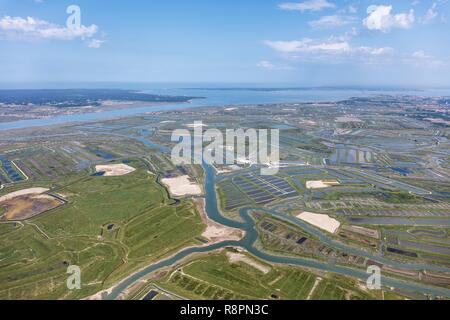 Francia, Charente Maritime, St appena Luzac le paludi vicino al fiume Seudre (vista aerea) Foto Stock