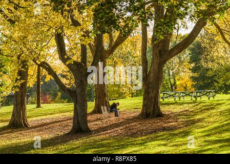 Canada Quebec, Quebec City, Pianure di Abramo, autunno Foto Stock