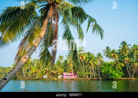 India, stato del Kerala, Quilon distretto, Munroe island o Munroturuttu, inland isola alla confluenza del Lago Ashtamudi e fiume Kallada, backwaters (lagune e canali di reti) Foto Stock