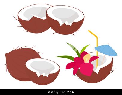 Frutti di cocco collezione in stile cartoon. Tutta la noce di cocco e semi di cocco, succo di frutta fresco drink. Cocktail noce di cocco con cannuccia con fiore. Illustrazione di vettore isolato su sfondo bianco Illustrazione Vettoriale