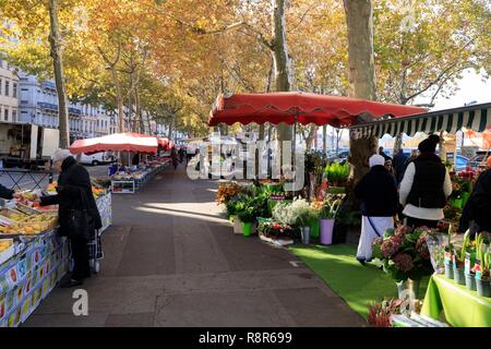 Francia, Rhône, Lione, 2° distretto, Les Cordeliers distretto, Saint Antoine quay, Saint Antoine Celestini market Foto Stock