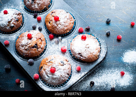 Muffin con rosso e ribes spolverati con zucchero a velo. Foto Stock