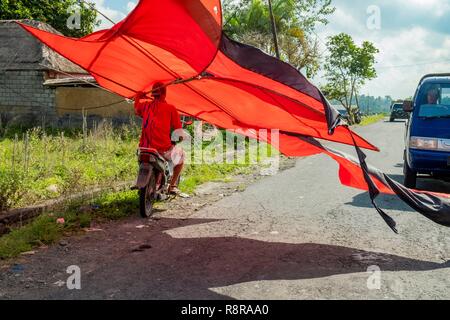 Indonesia, Bali, centro Ubud, trasporto di un gigantesco aquilone su una moto Foto Stock