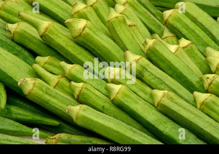 Cibo, vegetale, Bhindi lady del dito Ladies dita Okra Abelmoschus Esculentus anche Hibiscus Esculentus Foto Stock