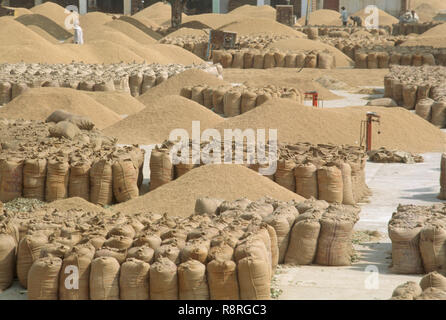 Grano in sacchi di iuta , mercato APMC , Comitato mercato prodotti agricoli , mandi grano , Punjab , India , Asia , Asiatico , indiano Foto Stock