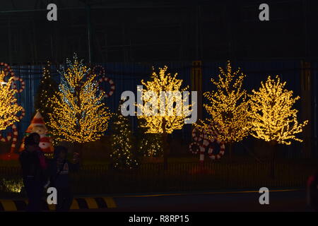 Baguio City dic. 2018, celebrando il Blousum di luce durante la notte mostrano che scollegherà l'ultima settimana della stagione estiva un festival annuale Foto Stock