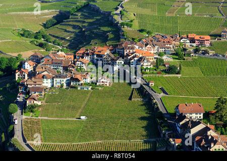 La Svizzera, nel cantone di Vaud, sul Lago di Ginevra, Distretto di Lavaux osui, vigneti terrazzati, classificata patrimonio mondiale dall UNESCO, Rivaz (vista aerea) Foto Stock