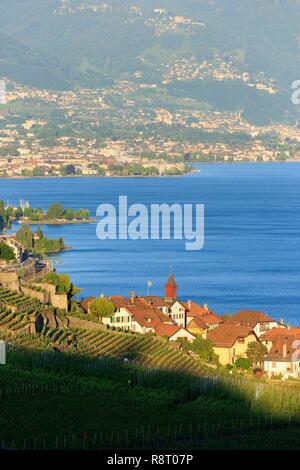 La Svizzera, nel cantone di Vaud, sul Lago di Ginevra, Distretto di Lavaux osui, vigneti terrazzati, classificata patrimonio mondiale dall UNESCO, Rivaz Foto Stock