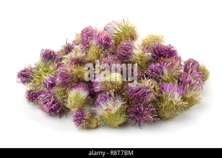 Pila di cotone secchi fiori di cardo isolato su bianco Foto Stock