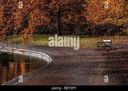 Autunno scena, dotata di un banco a Eastville Park (Bristol, Regno Unito) Foto Stock