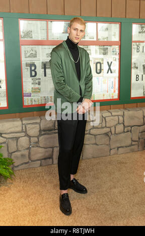 New York, Stati Uniti. Xvii Dec, 2018. New York, NY - 17 dicembre 2018: Colson Baker aka Machine Gun Kelly assiste il New York screening di "Bird Box' a Alice Tully Hall, Lincoln Center Credito: lev radin/Alamy Live News Foto Stock