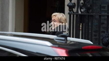 A Downing Street, Londra, Regno Unito. Il 18 dicembre 2018. Andrea Leadsom, leader di Commons di Downing Street per settimanale riunione del gabinetto. Credito: Malcolm Park/Alamy Live News. Foto Stock