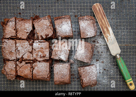 In casa Brownie al cioccolato su di un raffreddamento per rack Foto Stock