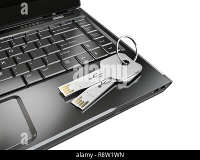 Scheda USB mockup in forma di chiave sul notebook, 3d'illustrazione. Foto Stock