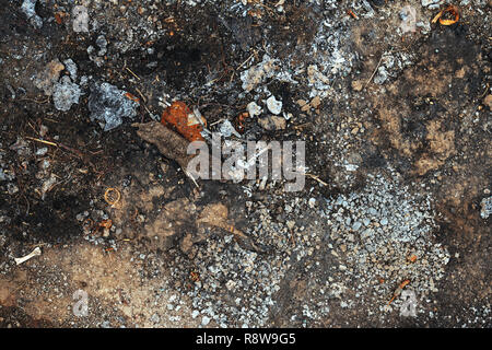 Ruvido grunge texture di superficie con rocce e il vetro rotto Foto Stock