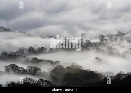 Alberi e campi coperti nella nebbia su una atmosferica, moody inverni di giorno. Malvern Hills, UK. Foto Stock