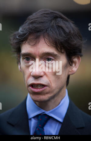 Ministro di Stato Rory Stewart OBE MP, su College Green Westminster, per interviste. Dotato di: Rory Stewart MP Dove: Londra, Regno Unito quando: 16 Nov 2018 Credit: Wheatley/WENN Foto Stock